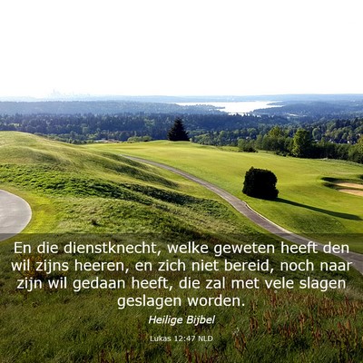 Picture 03 - Lukas 12:47 NLD - En die dienstknecht, welke geweten heeft den wil - Bible Verse Picture