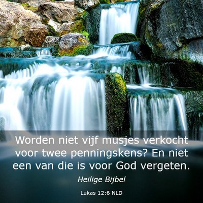 Picture 03 - Lukas 12:6 NLD - Worden niet vijf musjes verkocht voor twee - Bible Verse Picture