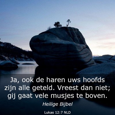 Picture 03 - Lukas 12:7 NLD - Ja, ook de haren uws hoofds zijn alle geteld. - Bible Verse Picture