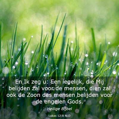 Picture 03 - Lukas 12:8 NLD - En Ik zeg u: Een iegelijk, die Mij belijden zal - Bible Verse Picture