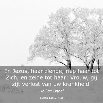 Picture 03 - Lukas 13:12 NLD - En Jezus, haar ziende, riep haar tot Zich, en - Bible Verse Picture