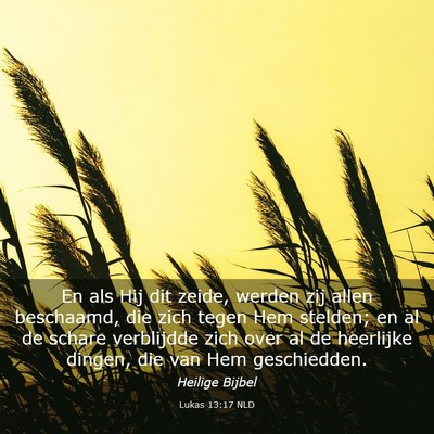 Picture 03 - Lukas 13:17 NLD - En als Hij dit zeide, werden zij allen beschaamd, - Bible Verse Picture