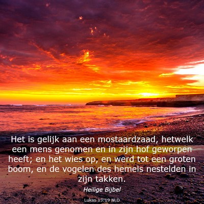 Picture 03 - Lukas 13:19 NLD - Het is gelijk aan een mostaardzaad, hetwelk een - Bible Verse Picture