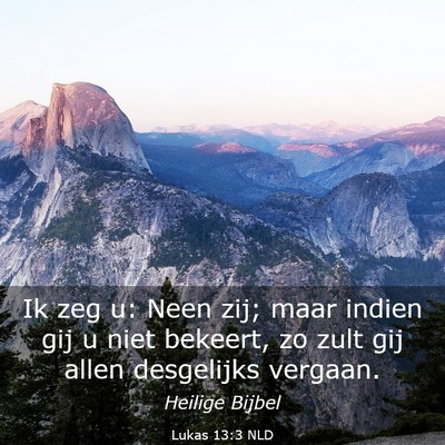 Picture 03 - Lukas 13:3 NLD - Ik zeg u: Neen zij; maar indien gij u niet - Bible Verse Picture