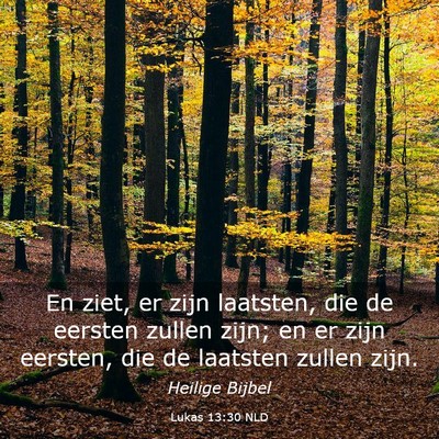 Picture 03 - Lukas 13:30 NLD - En ziet, er zijn laatsten, die de eersten zullen - Bible Verse Picture