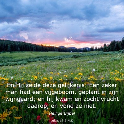 Picture 03 - Lukas 13:6 NLD - En Hij zeide deze gelijkenis: Een zeker man had - Bible Verse Picture