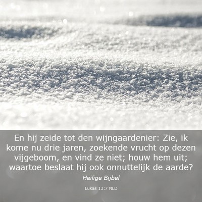 Picture 03 - Lukas 13:7 NLD - En hij zeide tot den wijngaardenier: Zie, ik kome - Bible Verse Picture