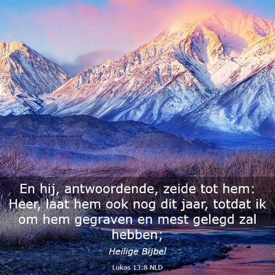 Picture 03 - Lukas 13:8 NLD - En hij, antwoordende, zeide tot hem: Heer, laat - Bible Verse Picture