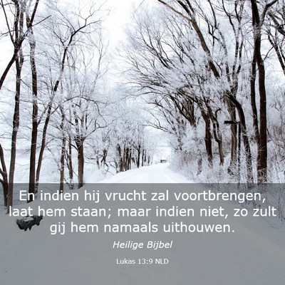 Picture 03 - Lukas 13:9 NLD - En indien hij vrucht zal voortbrengen, laat hem - Bible Verse Picture