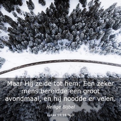 Picture 03 - Lukas 14:16 NLD - Maar Hij zeide tot hem: Een zeker mens bereidde - Bible Verse Picture