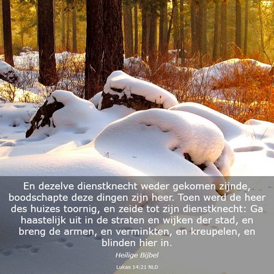 Picture 03 - Lukas 14:21 NLD - En dezelve dienstknecht weder gekomen zijnde, - Bible Verse Picture