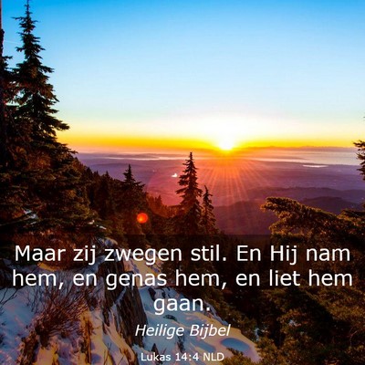 Picture 03 - Lukas 14:4 NLD - Maar zij zwegen stil. En Hij nam hem, en genas - Bible Verse Picture