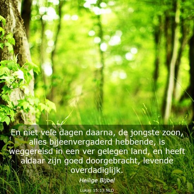 Picture 03 - Lukas 15:13 NLD - En niet vele dagen daarna, de jongste zoon, alles - Bible Verse Picture