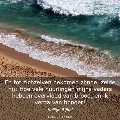 Picture 03 - Lukas 15:17 NLD - En tot zichzelven gekomen zijnde, zeide hij: Hoe - Bible Verse Picture