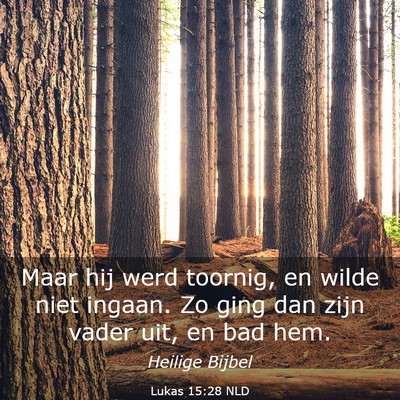 Picture 03 - Lukas 15:28 NLD - Maar hij werd toornig, en wilde niet ingaan. Zo - Bible Verse Picture