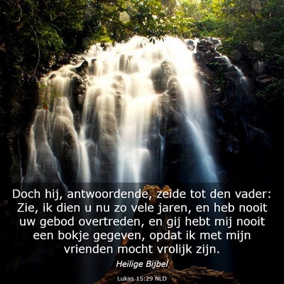 Picture 03 - Lukas 15:29 NLD - Doch hij, antwoordende, zeide tot den vader: Zie, - Bible Verse Picture