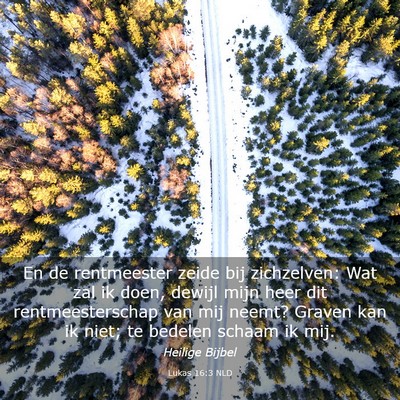 Picture 03 - Lukas 16:3 NLD - En de rentmeester zeide bij zichzelven: Wat zal - Bible Verse Picture