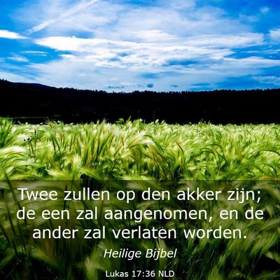 Picture 03 - Lukas 17:36 NLD - Twee zullen op den akker zijn; de een zal - Bible Verse Picture