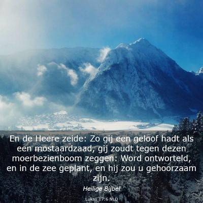 Picture 03 - Lukas 17:6 NLD - En de Heere zeide: Zo gij een geloof hadt als een - Bible Verse Picture