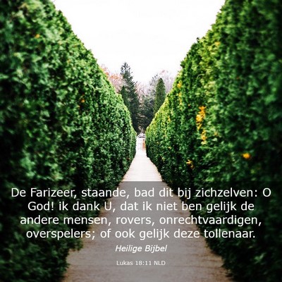 Picture 03 - Lukas 18:11 NLD - De Farizeer, staande, bad dit bij zichzelven: O - Bible Verse Picture