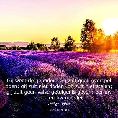 Picture 03 - Lukas 18:20 NLD - Gij weet de geboden: Gij zult geen overspel doen; - Bible Verse Picture