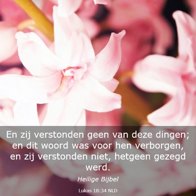 Picture 03 - Lukas 18:34 NLD - En zij verstonden geen van deze dingen; en dit - Bible Verse Picture
