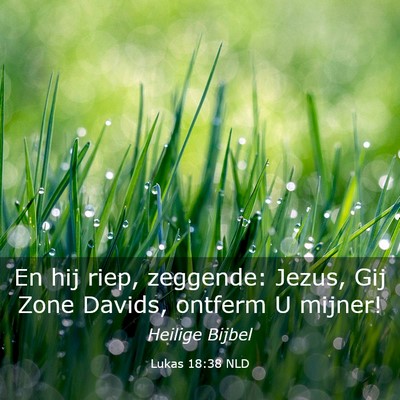Picture 03 - Lukas 18:38 NLD - En hij riep, zeggende: Jezus, Gij Zone Davids, - Bible Verse Picture