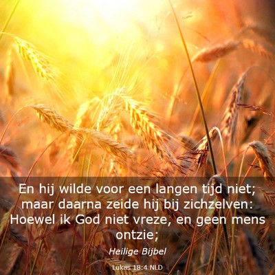 Picture 03 - Lukas 18:4 NLD - En hij wilde voor een langen tijd niet; maar - Bible Verse Picture