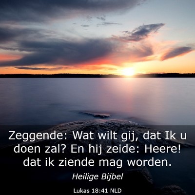 Picture 03 - Lukas 18:41 NLD - Zeggende: Wat wilt gij, dat Ik u doen zal? En hij - Bible Verse Picture