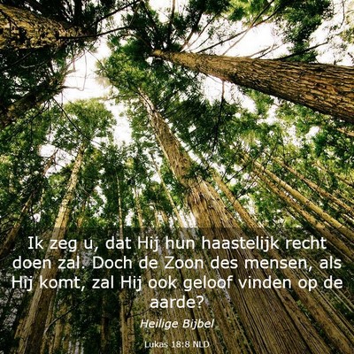 Picture 03 - Lukas 18:8 NLD - Ik zeg u, dat Hij hun haastelijk recht doen zal. - Bible Verse Picture