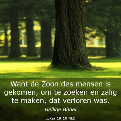 Picture 03 - Lukas 19:10 NLD - Want de Zoon des mensen is gekomen, om te zoeken - Bible Verse Picture