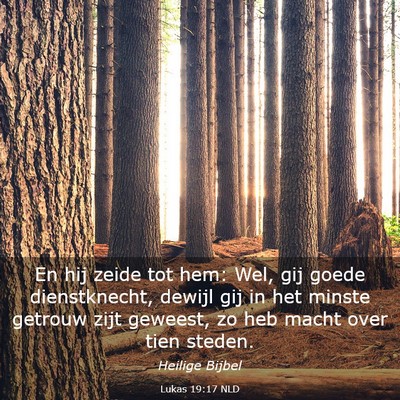 Picture 03 - Lukas 19:17 NLD - En hij zeide tot hem: Wel, gij goede - Bible Verse Picture