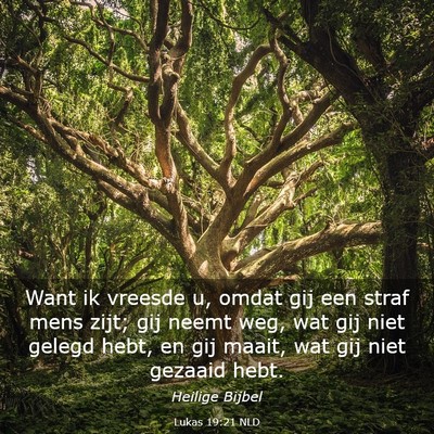 Picture 03 - Lukas 19:21 NLD - Want ik vreesde u, omdat gij een straf mens zijt; - Bible Verse Picture
