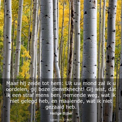 Picture 03 - Lukas 19:22 NLD - Maar hij zeide tot hem: Uit uw mond zal ik u - Bible Verse Picture