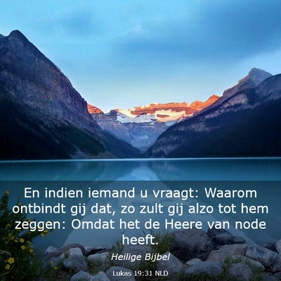 Picture 03 - Lukas 19:31 NLD - En indien iemand u vraagt: Waarom ontbindt gij - Bible Verse Picture