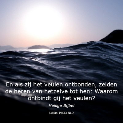 Picture 03 - Lukas 19:33 NLD - En als zij het veulen ontbonden, zeiden de heren - Bible Verse Picture