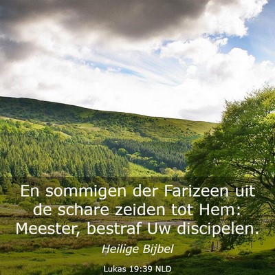 Picture 03 - Lukas 19:39 NLD - En sommigen der Farizeen uit de schare zeiden tot - Bible Verse Picture