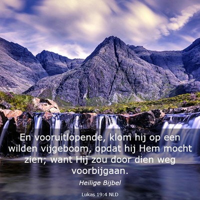 Picture 03 - Lukas 19:4 NLD - En vooruitlopende, klom hij op een wilden - Bible Verse Picture