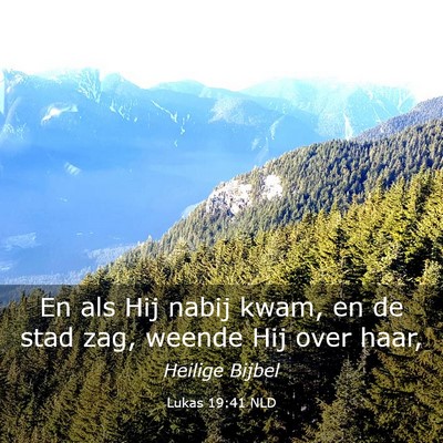 Picture 03 - Lukas 19:41 NLD - En als Hij nabij kwam, en de stad zag, weende Hij - Bible Verse Picture