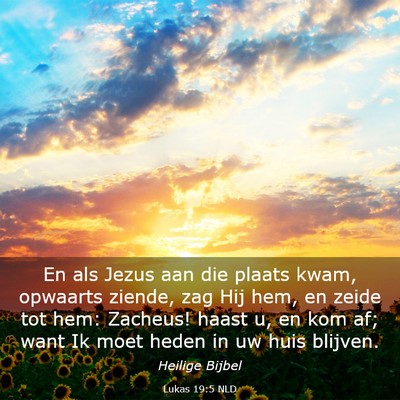 Picture 03 - Lukas 19:5 NLD - En als Jezus aan die plaats kwam, opwaarts - Bible Verse Picture