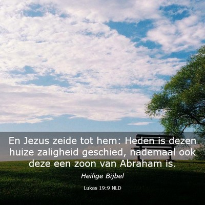 Picture 03 - Lukas 19:9 NLD - En Jezus zeide tot hem: Heden is dezen huize - Bible Verse Picture