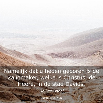 Picture 03 - Lukas 2:11 NLD - Namelijk dat u heden geboren is de Zaligmaker, - Bible Verse Picture