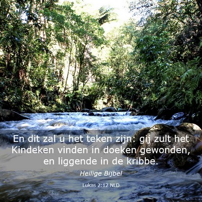 Picture 03 - Lukas 2:12 NLD - En dit zal u het teken zijn: gij zult het - Bible Verse Picture