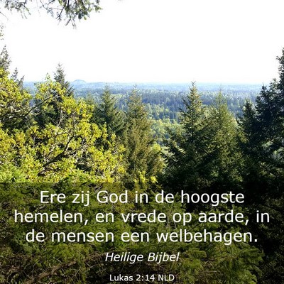 Picture 03 - Lukas 2:14 NLD - Ere zij God in de hoogste hemelen, en vrede op - Bible Verse Picture