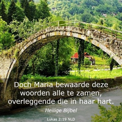 Picture 03 - Lukas 2:19 NLD - Doch Maria bewaarde deze woorden alle te zamen, - Bible Verse Picture