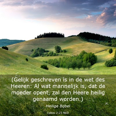 Picture 03 - Lukas 2:23 NLD - (Gelijk geschreven is in de wet des Heeren: Al - Bible Verse Picture