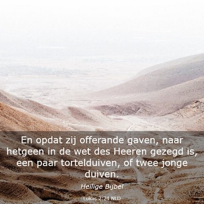 Picture 03 - Lukas 2:24 NLD - En opdat zij offerande gaven, naar hetgeen in de - Bible Verse Picture