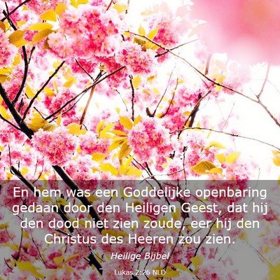 Picture 03 - Lukas 2:26 NLD - En hem was een Goddelijke openbaring gedaan door - Bible Verse Picture