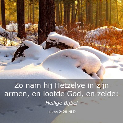 Picture 03 - Lukas 2:28 NLD - Zo nam hij Hetzelve in zijn armen, en loofde God, - Bible Verse Picture