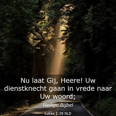 Picture 03 - Lukas 2:29 NLD - Nu laat Gij, Heere! Uw dienstknecht gaan in vrede - Bible Verse Picture